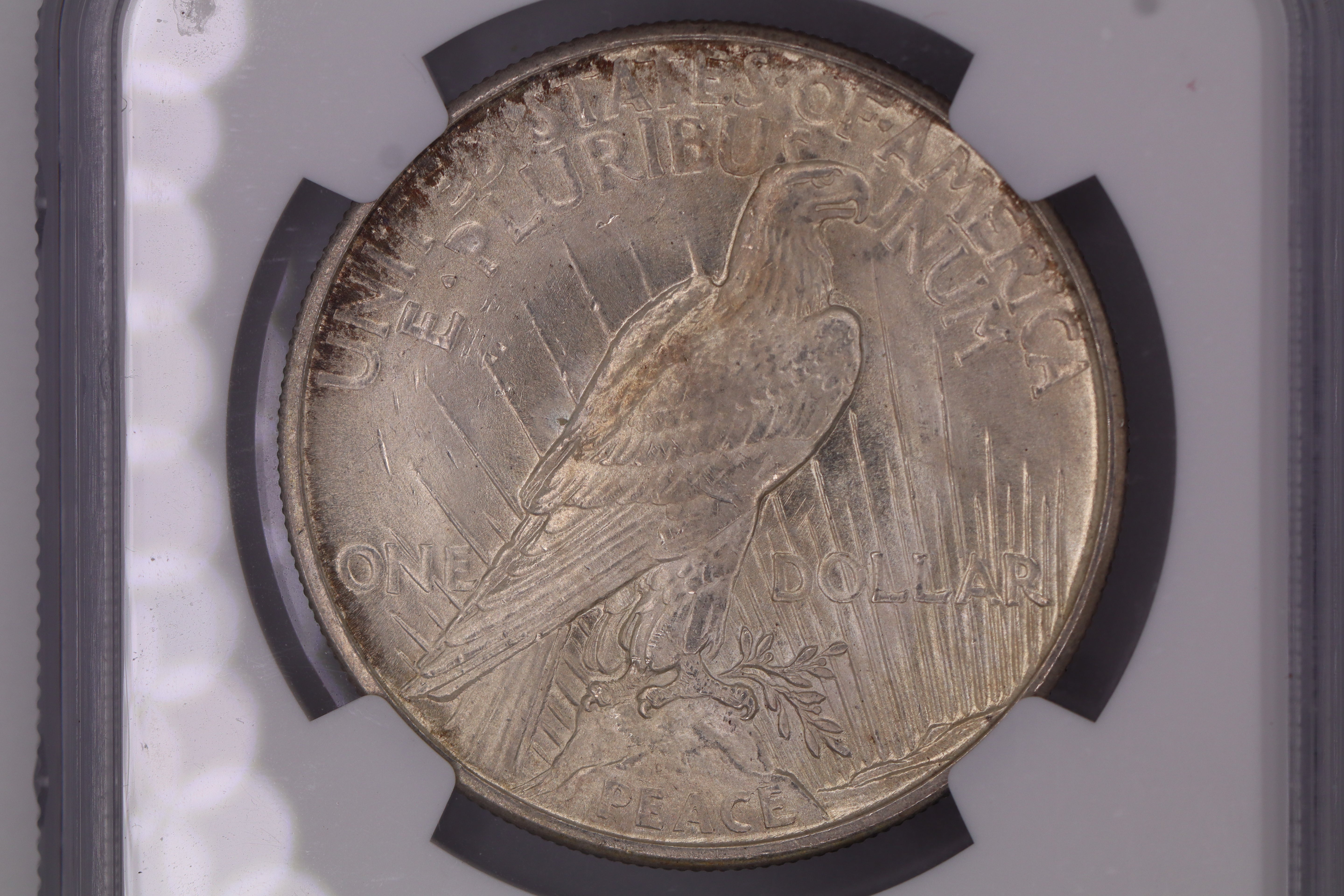 1921 Peace $1 - High Relief MS63+